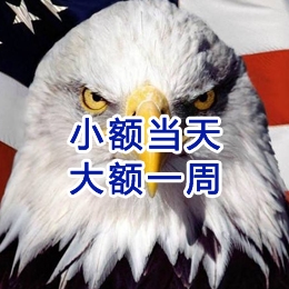 田林要账公司